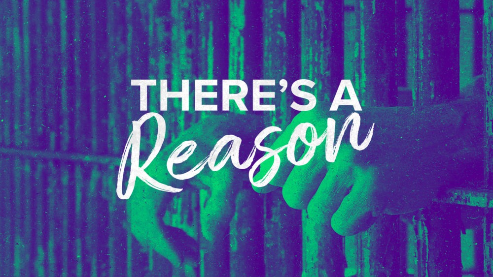 There\'s a Reason
